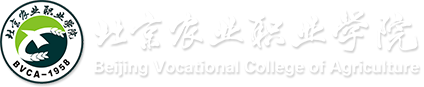 2026国际足联世界杯官网